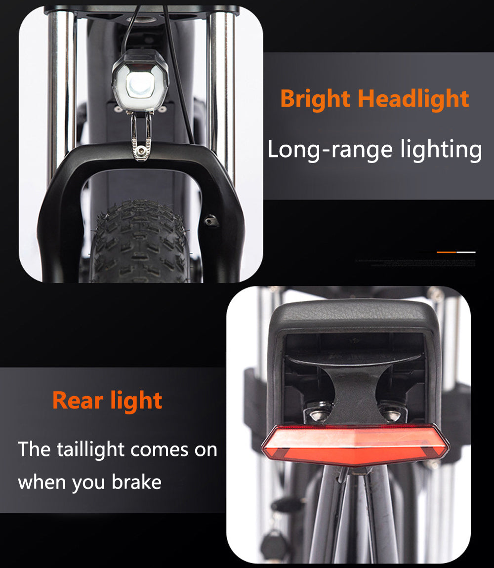 20FG Mountainbike für Erwachsene, 20 Zoll, 500 W, Elektrofahrrad, 48 V, 15 Ah, Lithiumbatterie, Luftfederung, Vorderradgabel, Geschwindigkeit bis zu 45 km/h