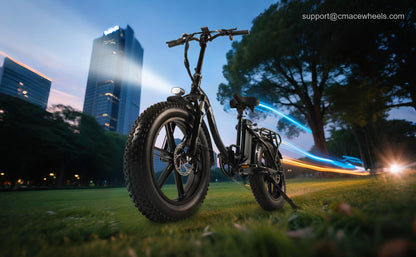 Y20_11_scene_park