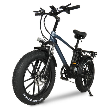 CMACEWHEEL T20 20 Zoll 750 W Elektrofahrrad, 4.0 Fat Tire Mountainbike, 48 V 15 Ah Batterie, vordere und hintere Scheibenbremse