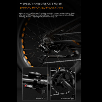 RV800 PLUS 48V 20Ah Modisches Elektrofahrrad 26 Zoll 7-Gang-Getriebesystem Bis zu 52 km/h Hydraulische Scheibenbremse vorne und hinten