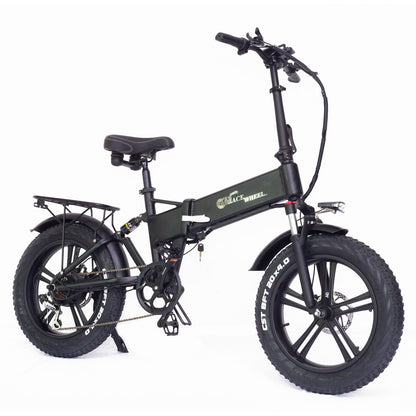 RX20 750W Folding Electric Bicycle 20*4.0 Fat Tire Mountain Bike 48V E-cykel full suspension