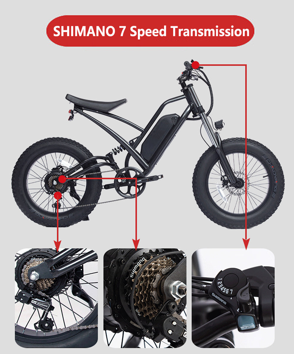 48V 22.5Ah Large Capacity Electric Fat Tire Bike 20x4.0 Wheel Snow Bike med Front och Rear Shock Absorption, båda skivan Brake E Bike