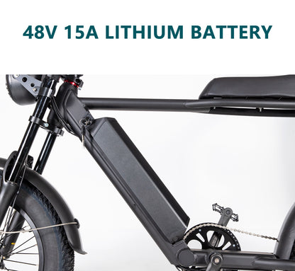 20FG Adult Mountain Bike 20 Inch 500W Electric Bike 48V 15Ah Lithium Battery Air Suspension Front Fork Hastighet upp till 45km/h