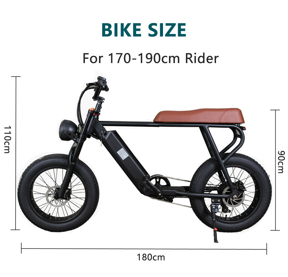 20FG Adult Mountain Bike 20 Inch 500W Electric Bike 48V 15Ah Lithium Battery Air Suspension Front Fork Hastighet upp till 45km/h