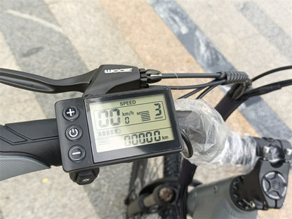 ES500 Pro 500W 48V 16Ah 130Km Rezistență 24 inci Motor fără perii Bicicletă electrică urbană Frâne cu două discuri 32 km/h Viteză maximă City Bik